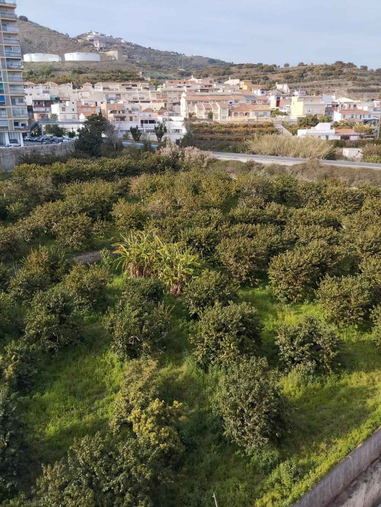 Room In Shared Apartment With Parking Almuñécar 외부 사진